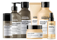 Absolut Repair