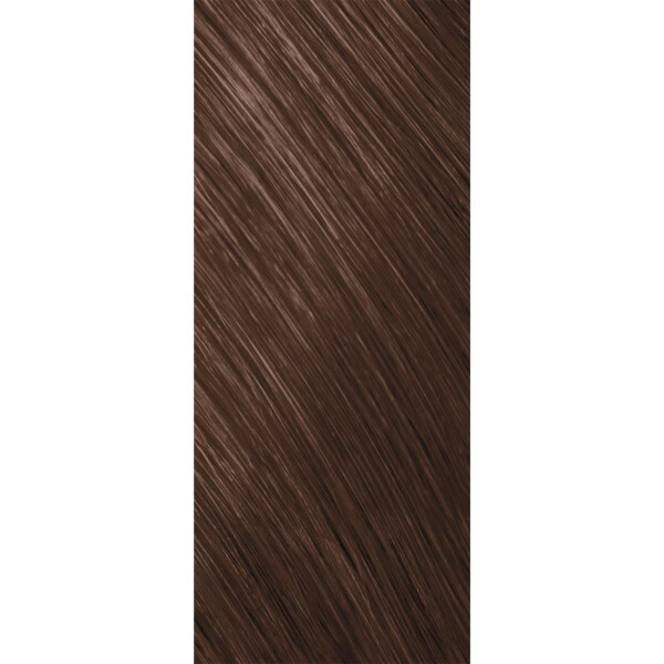 Goldwell Topchic Tube Warm Browns Haarfarbe 6B goldbraun 60ml