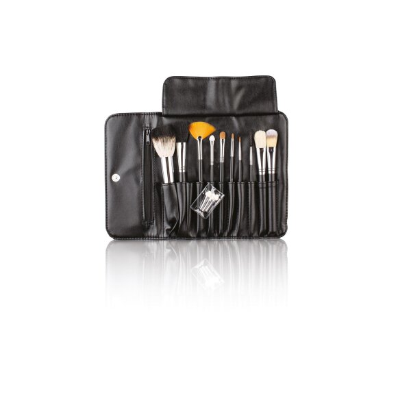 XanitaliaPro Set mit 10 Pinseln