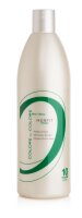 XanitaliaPro Milder Entwickler 1000ml