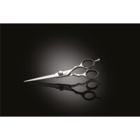 XanitaliaPro Iwasaki Executive Silver Fuji...