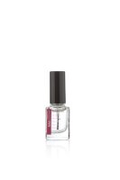 XanitaliaPro Base 10 ml &ndash; 6er-Pack