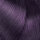 LOr&eacute;al Professionnel Dialight Booster Violett 50ml