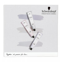 Schwarzkopf Farbkarte TBH Color Chart 09/22
