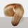 L.A. Hairstyles Natural Centralblond Gold 40cm 31