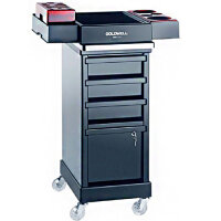 Goldwell Service Car Magic Serve