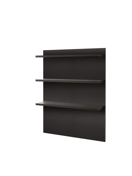 XanitaliaPro Schwarze Wanddisplay mit Regalen