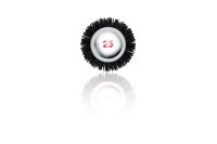 XanitaliaPro Master-Ion Ionen-Thermob&uuml;rste Professionell, &Oslash; 25 mm