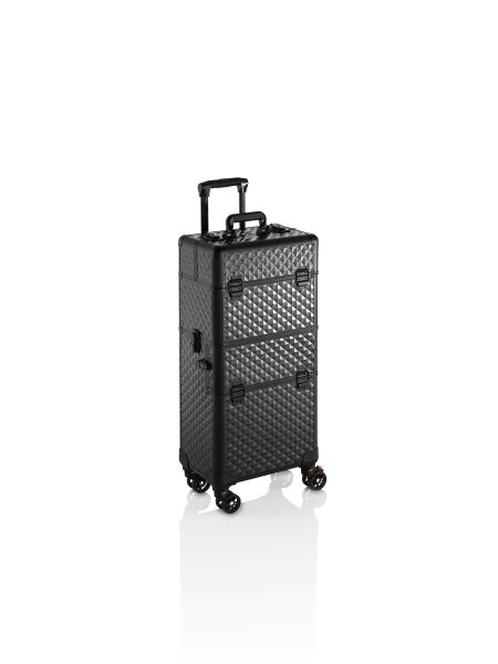 XanitaliaPro Nica starrer Trolley-Koffer, Rose
