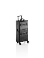 XanitaliaPro Nica starrer Trolley-Koffer, Rose