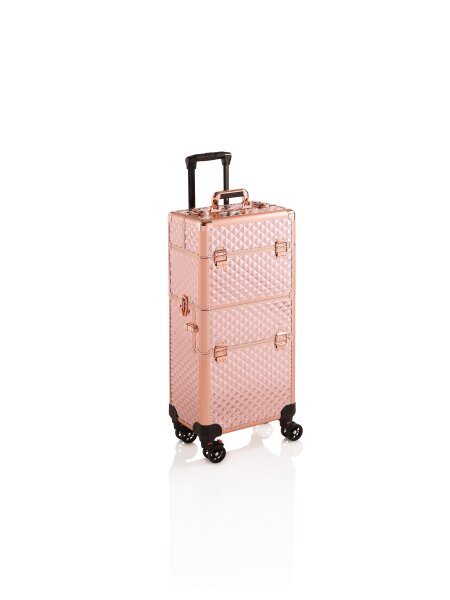 XanitaliaPro Stage X starrer Trolley-Koffer, Silver