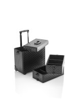 XanitaliaPro Stage X starrer Trolley-Koffer, Rose