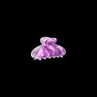 Invisibobble CLIPSTAR My Rainboo 2 St&uuml;ck