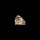 Invisibobble EVERCLAW Leo Love 1 St&uuml;ck