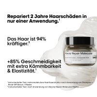 LOr&eacute;al Professionnel Serie Expert Absolut Repair...