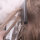 Efalock WEAVE COMB Str&auml;hnenkamm pink