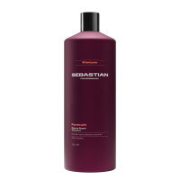 Sebastian Professional Penetraitt Rescue Repair Shampoo...