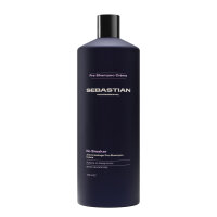 Sebastian Professional No Breaker Anti-Breakage...