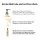 LOr&eacute;al Professionnel Serie Expert Absolut Repair Shampoo Refill 1000ml