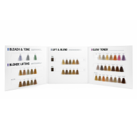 Schwarzkopf BlondMe Farbkarte 09/25