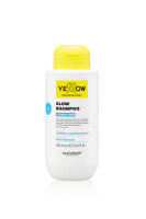 Yellow Professional Hydra Care Shampoo 500ml